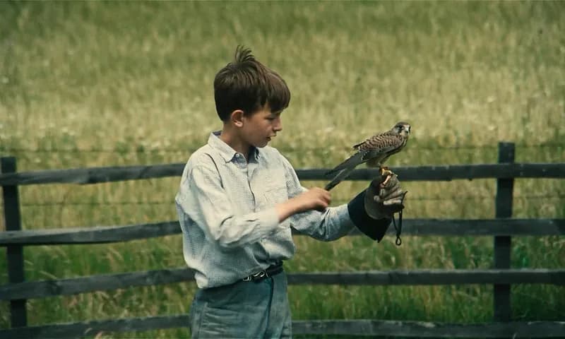 How Far Can Kestrel Actually Go?